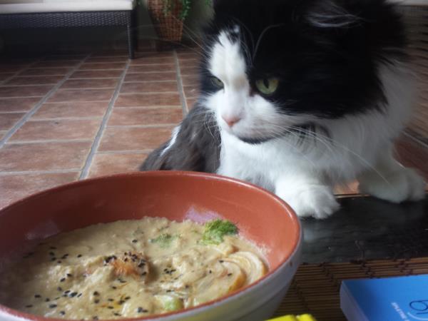 LCHF enolončnica s koromačem in ingverjem